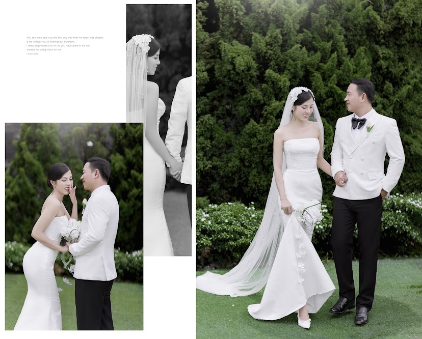 Anh nền phần Tham dự